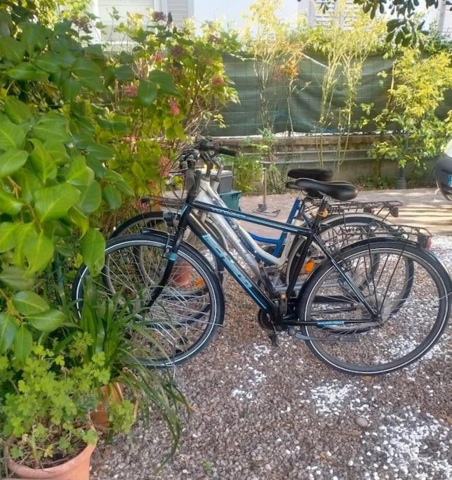 Just Outside The Wall: Free A/C, Bikes And Wifi Lucca Ngoại thất bức ảnh